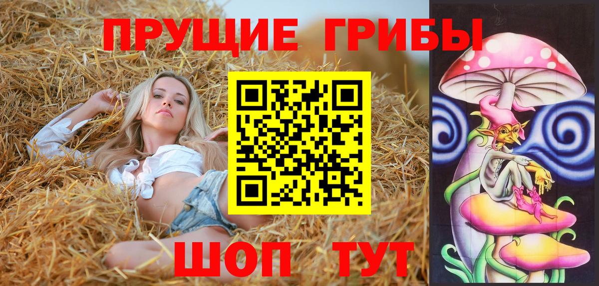 Псилоцибиновые грибы Cubensis Магнитогорск