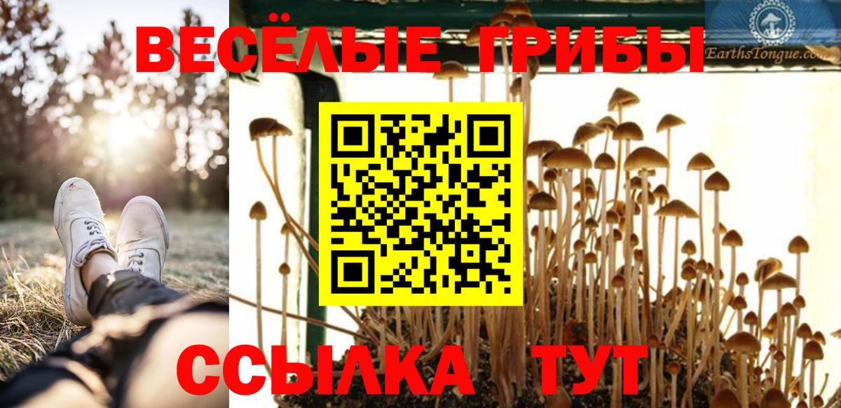 Псилоцибиновые грибы Cubensis  Вход с VPN  Магнитогорск 